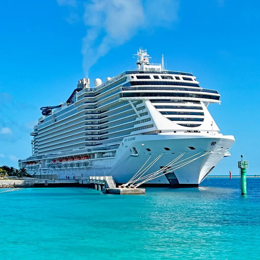 One-Way Shared Shuttle From Port Canaveral To Orlando Hotel Area